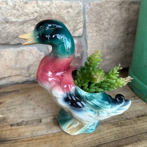 May include: A ceramic duck planter with a green, teal, and pink color scheme. The duck holds a small succulent plant. The planter has a glossy finish and is placed on a wooden surface.