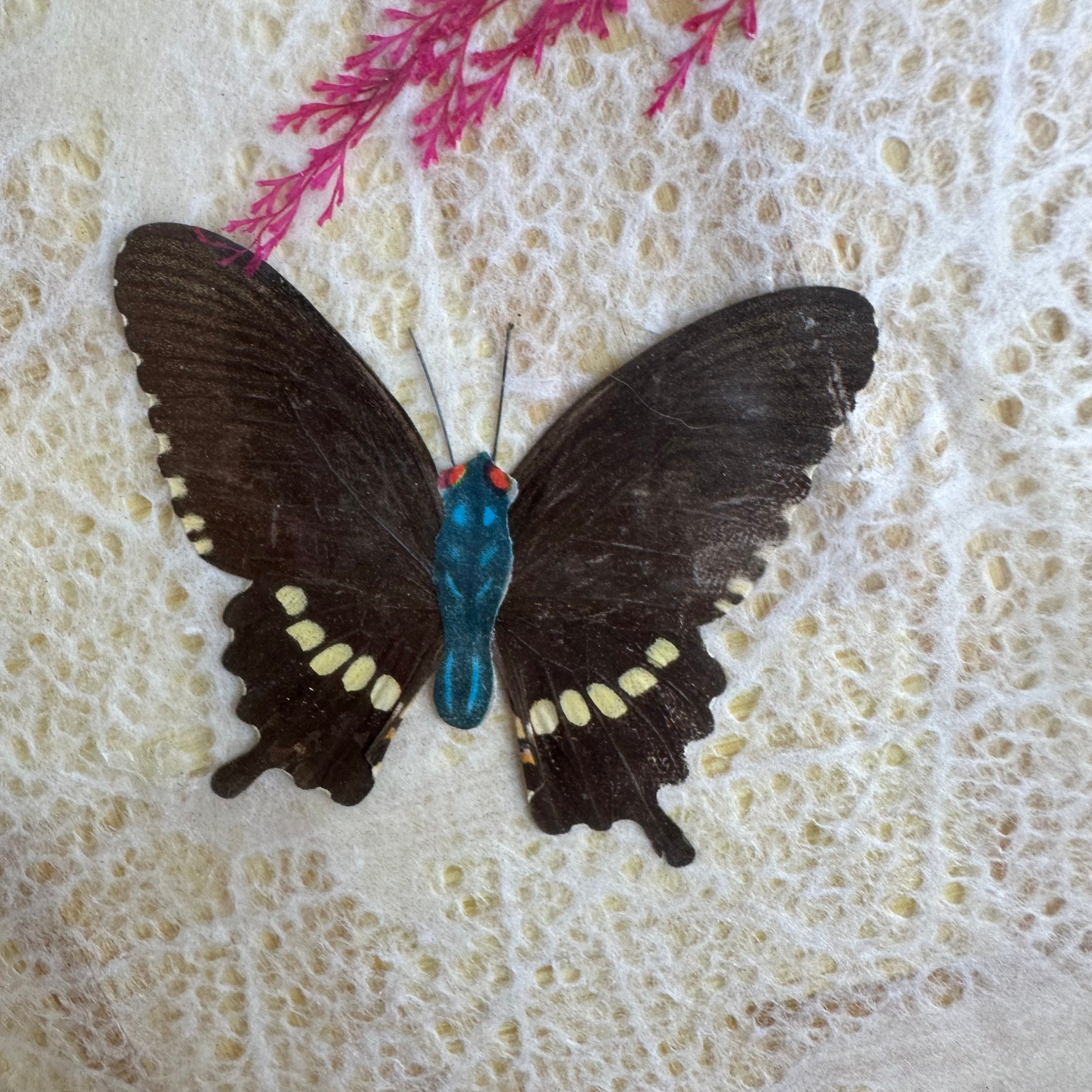 Vintage Bamboo Drink Tray – Retro Pressed Butterfly Botanical  display picture 1