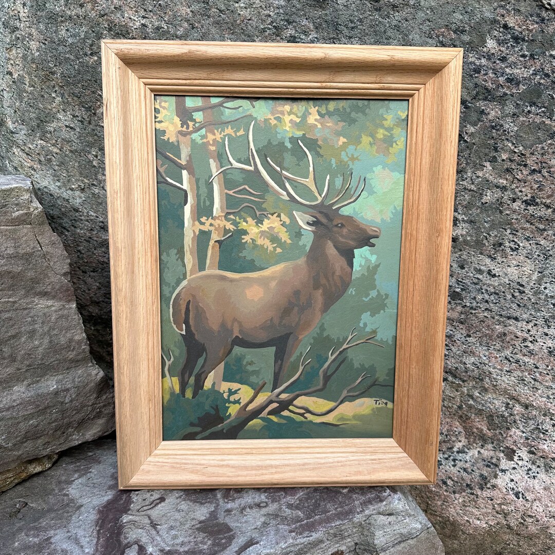 Vintage Craft Master Paint by Number 1969 Woodland Beauties Etsy