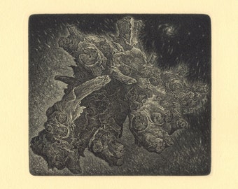 Ecological Object II, Etching by Marin Gruev