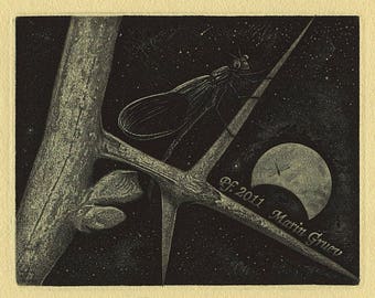 Time When Stars Die Away, Etching-Aquatint from Marin Gruev