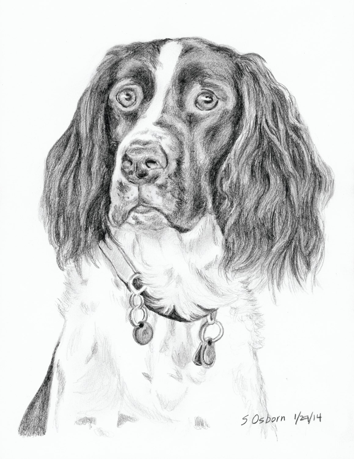9 X 12 Custom Graphite Pencil Drawing of Your Dog Etsy