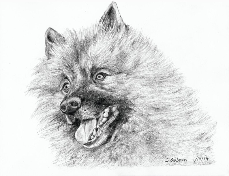 9 X 12 Custom Graphite Pencil Drawing of Your Dog Etsy