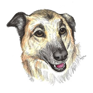 Pet Drawing, Watercolor Dog Portrait, Mother's Day Gift, Paper Anniversary, Dog Lover, Christmas Gift, Dog Drawing, 5x7, 8x10 image 5