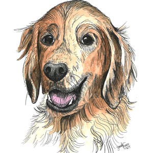 Pet Drawing, Watercolor Dog Portrait, Mother's Day Gift, Paper Anniversary, Dog Lover, Christmas Gift, Dog Drawing, 5x7, 8x10 image 9
