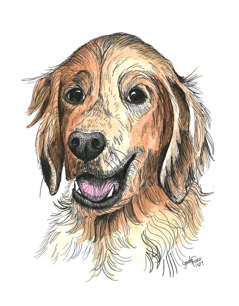 Pet Drawing, Watercolor Dog Portrait, Mother's Day Gift, Paper Anniversary, Dog Lover, Christmas Gift, Dog Drawing, 5x7, 8x10 image 9