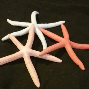 StarFish Decor / Star Fish /Finger Starfish Decor / Set of 3 - 6&quot;-7&quot;  Finger Starfish / Nautical Nursery Decor / Beach House Decor