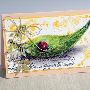 carte faite à la main de coccinelle