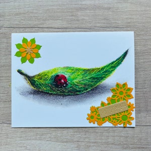 Coccinelle