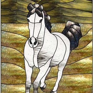 Könnte beinhalten: Ein weißes Pferd mit schwarzen Abzeichen rennt über ein Feld mit braunem und grünem Gras. Das Pferd hat eine lange, fließende Mähne und einen langen Schweif.