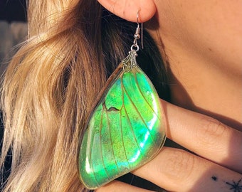 Real Green Luna Moth Wing Earrings, Nature Inspired Iridescent Jewelry for Nature Enthusiasts