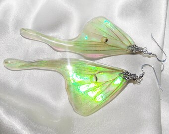 real moth wing jewelry iridescent earrings magical jewelry gifts for women spring accessories trends boho gifts luna moth earrings