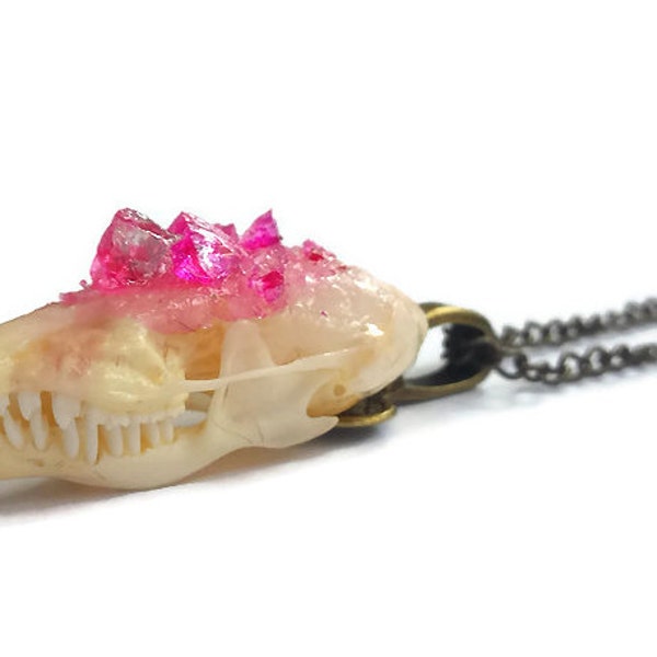 Mole Skull Necklace - Animal Skull - Taxidermy Necklace - Animal Bones - Animal Skull Necklace - Bone Jewelry - Crystallized Skull
