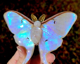 Large Luna Moth Wing Pendant with Iridescent Aqua Shimmers and Moonstone on Sterling Silver Chain