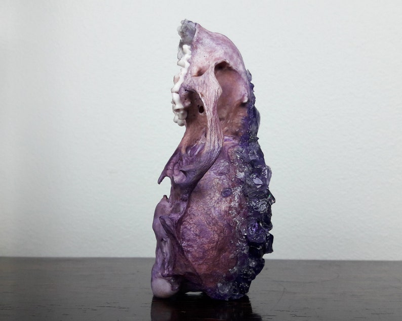 gothic decor curiosities and oddities taxidermy collection amethyst crystal skull witchy decor mature crystallized skull real animal bones