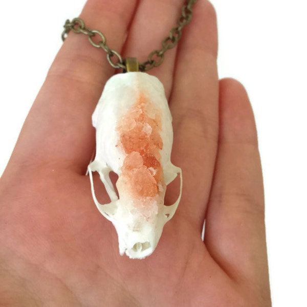 Weasel Skull Necklace - Animal Skull - Taxidermy - Animal Bones - Animal Skull Necklace - Bone Jewelry - Crystallized Skull