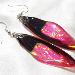 Pink Cicada Wing Earrings, Sterling Silver Ethereal Nature Jewelry