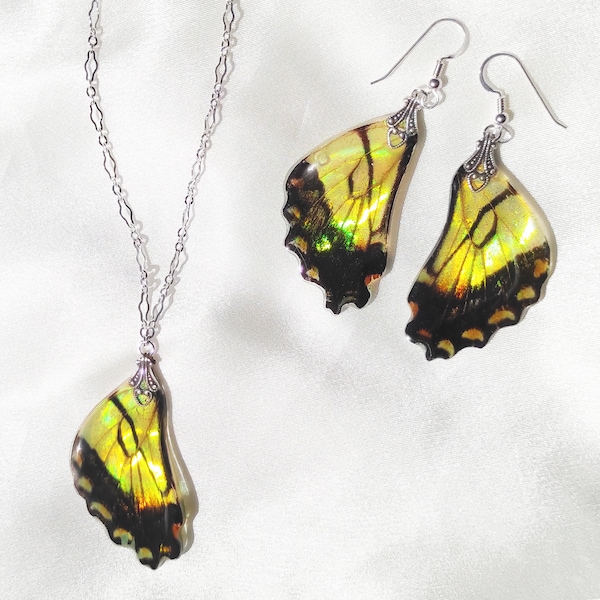 Tiger Swallowtail Butterfly Jewelry Set, Real Wing Pendant and Earrings, Best Gifts for Her