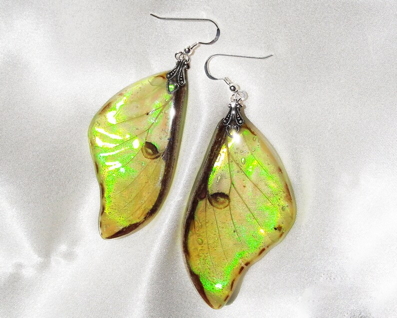 real moth wing jewelry iridescent earrings magical jewelry gifts for women spring accessories trends boho gifts luna moth earrings