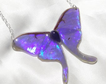 Luna Moth Wing Pendant with Iridescent Blue Shimmers and Iolite on Sterling Silver