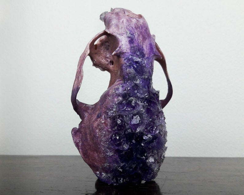 gothic decor curiosities and oddities taxidermy collection amethyst crystal skull witchy decor mature crystallized skull real animal bones