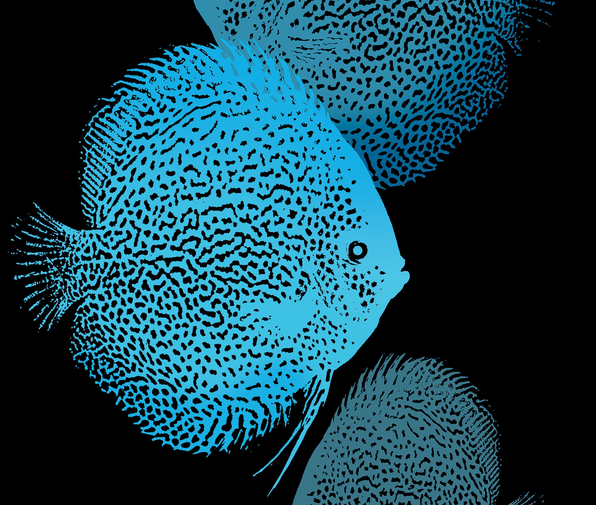 Discus fish deals