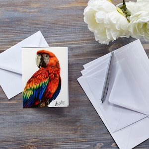 Carte de voeux Ara rouge, carte de perroquet d'après un dessin, billet d'oiseau exotique, carte toutes occasions générales, carte d'amateur d'oiseaux, pour lui, carte de la faune