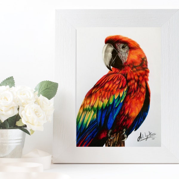 PORTRAIT D’ARA ÉCARLATE, Dessin original de perroquet rouge, Illustration d’oiseaux tropicaux, Rainbow Fine Art, Cadeau d’amoureux du perroquet, Décor mural amoureux des oiseaux