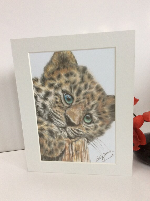 Cute Jaguar Animal Drawing