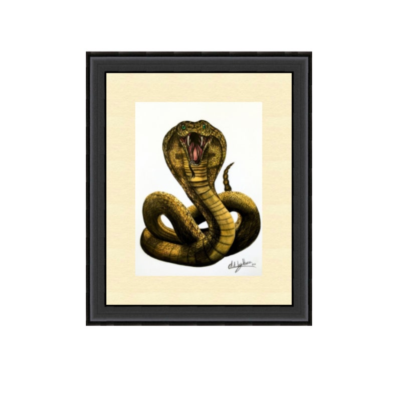 KING COBRA DRAWING Original Snake Art Cobra Hissing Decor Serpent Drawing Art For Him Reptile Original Art Venomous Snake Portrait
