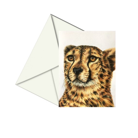 Small Blank Greeting Note Card NEW Beautiful Cheetah Leopard Big Cat Drawing 