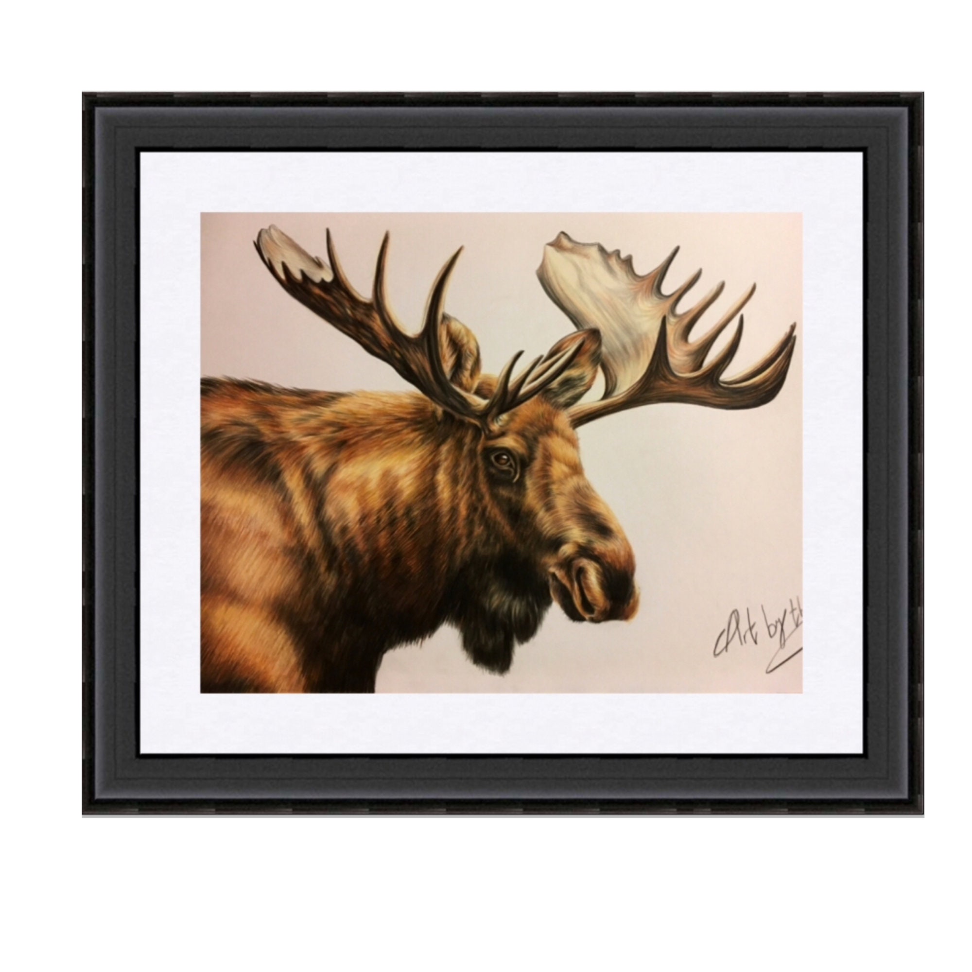 Moose Art Print: North American Wildlife Pencil Illustration - Etsy