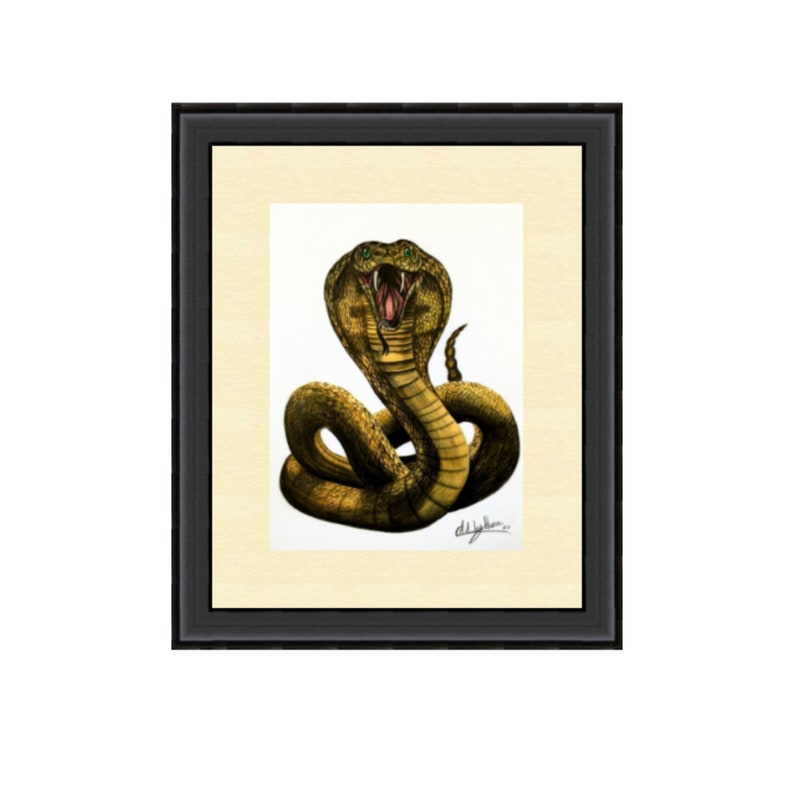 KING COBRA DRAWING Original Snake Art Cobra Hissing  Decor Serpent Drawing Art For Him Reptile Original Art Venomous Snake Portrait