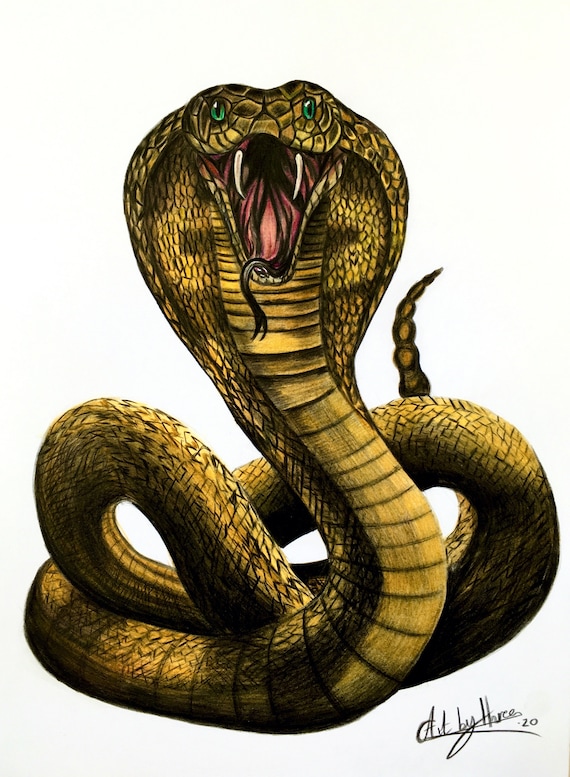 KING COBRA DRAWING Original Snake Art Cobra Hissing Decor Serpent Drawing Art For Him Reptile Original Art Venomous Snake Portrait