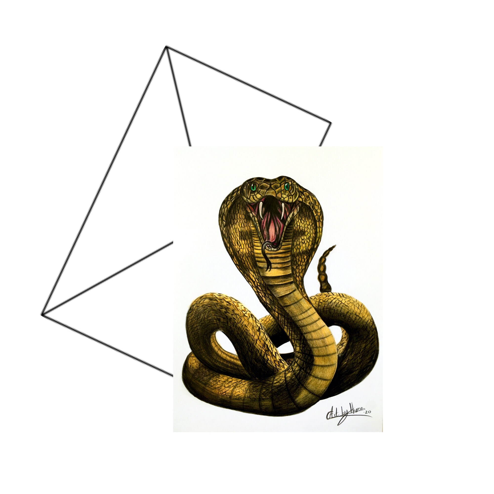 KING COBRA DRAWING Original Snake Art Cobra Hissing Decor Serpent Drawing Art For Him Reptile Original Art Venomous Snake Portrait