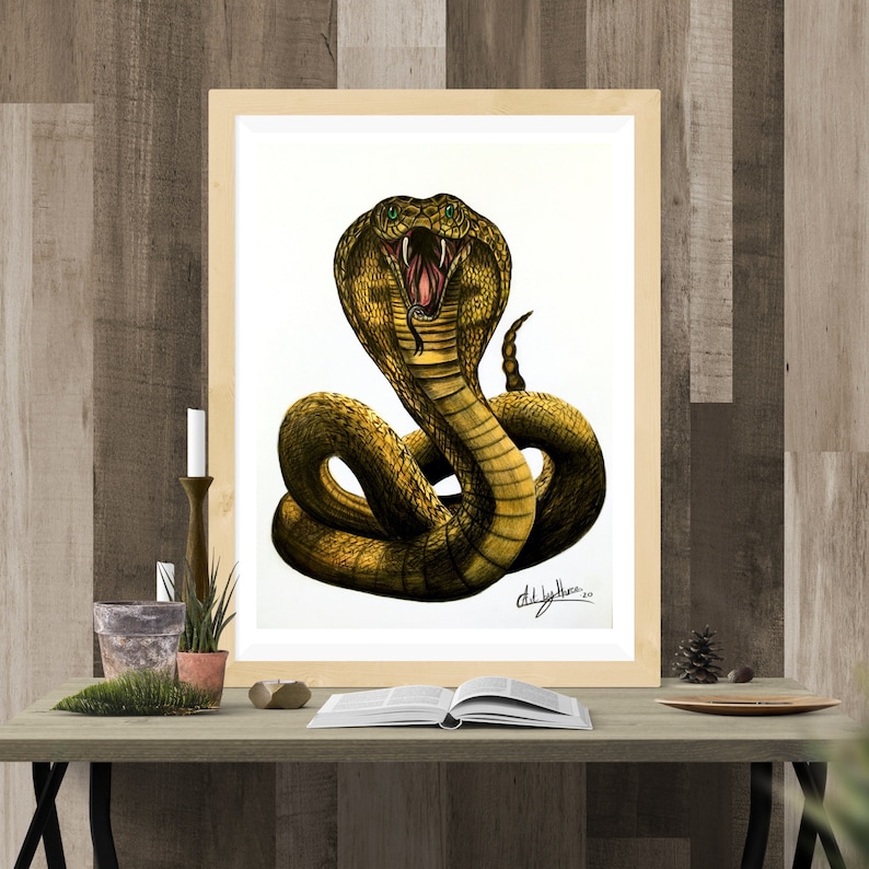 KING COBRA DRAWING Original Snake Art Cobra Hissing Decor Serpent Drawing Art For Him Reptile Original Art Venomous Snake Portrait
