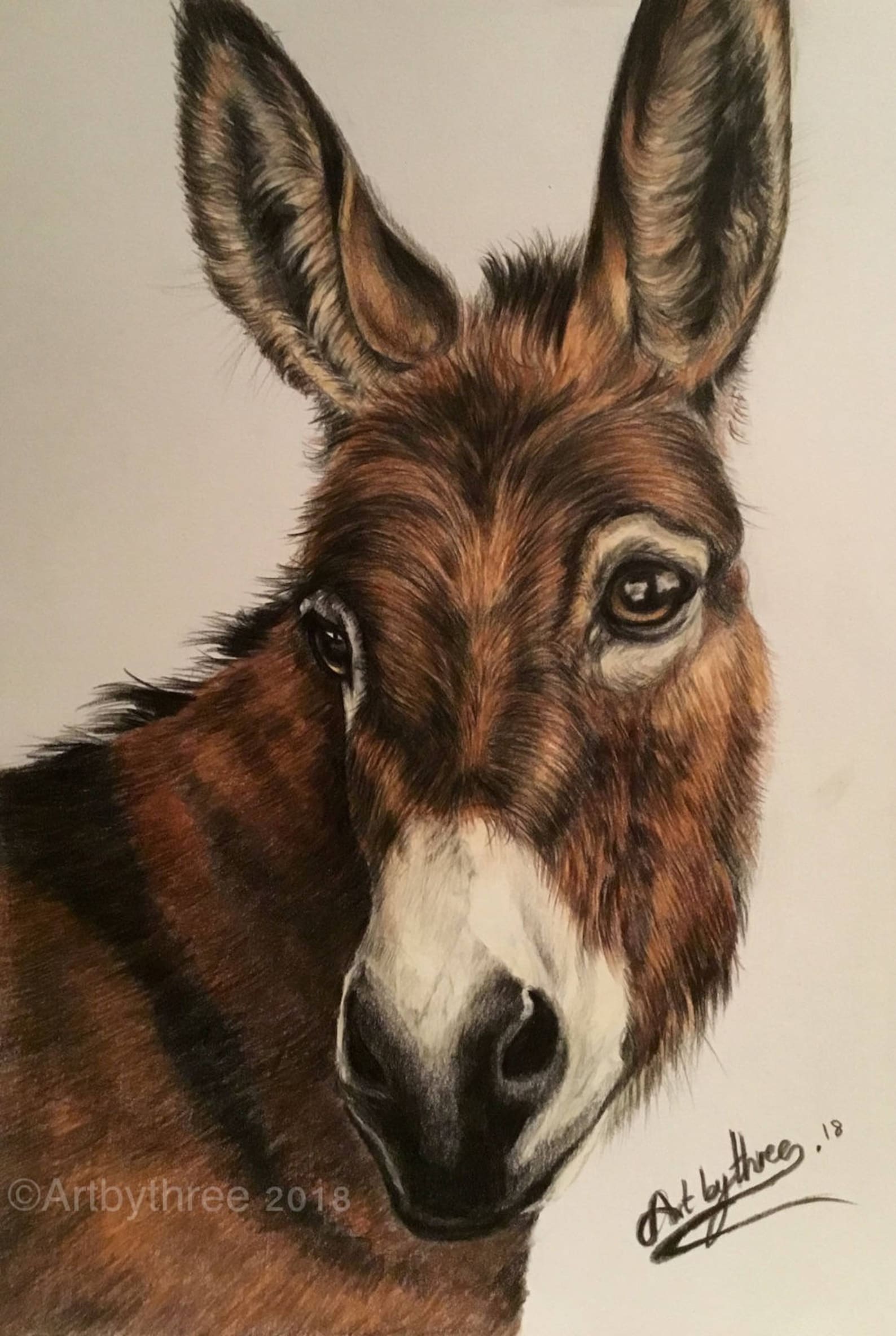 ESEL BLEISTIFT ZEICHNUNG Esel Zeichnung Esel Zeichnung Esel - Etsy.de