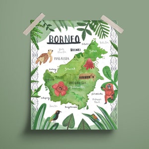 Illustration de carte de Bornéo | Carte illustrée de Bornéo, art indonésien, peinture orang-outan, impression d'art tortue, Brunei, illustration de carte du monde