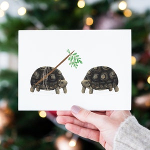 Tortoise Christmas Cards Set - Christmas Clearance, Wife Christmas Card, Husband Christmas Card, Girlfriend Christmas Cards, Tortoise Gifts