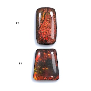 May include: Two polished gemstones with a fiery, iridescent appearance. The top stone is rectangular, while the bottom one is trapezoidal. Both display a network of internal patterns in shades of red, orange, and brown, with the labels "P2" and "P1" visible.