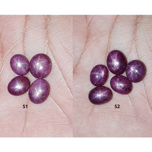 Puede incluir: Dos grupos de piedras preciosas de rubí ovaladas en forma de estrella. Las piedras preciosas son de color púrpura intenso con un efecto de estrella visible en sus superficies. Las piedras preciosas están etiquetadas como "S1" y "S2".