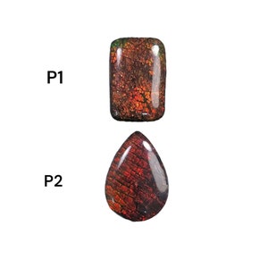 AMMOLITE Gemstone Cabochon : Natural Fossilized Shell Bi-Color Ammolite Pear & Cushion Shape 21*14.5mm -  22*16mm 1pc