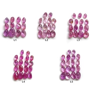 Puede incluir: Cinco grupos de gemas rosadas, etiquetados del L1 al L5, dispuestos en una cuadrícula sobre un fondo blanco.