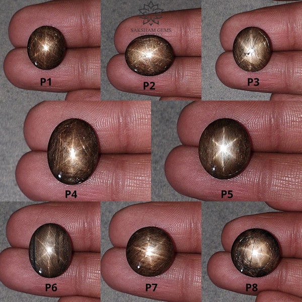 Star Sapphire Gemstone Cabochon : Natural Untreated Golden Brown Chocolate Sapphire 6Ray Star Oval Round Shape 1pc