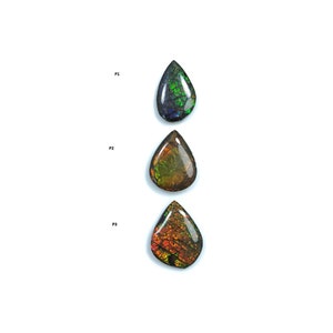 Rare Fire Ammolite Gemstone Cabochon: Natural Fossilized Shell Bi-Color Ammolite Pear & Uneven Shapes Cabochon 1pc