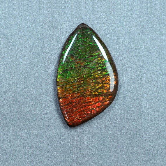 AMMOLITE Gemstone Cabochon 69.00cts Natural Fossilized Shell