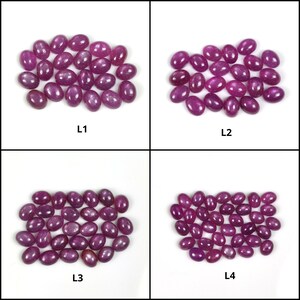 Puede incluir: Cuatro grupos de piedras preciosas ovaladas de color rosa, etiquetados como L1, L2, L3 y L4.