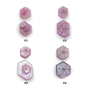 May include: Eight hexagonal pink sapphire crystals arranged in four pairs labelled P1, P2, P3, and P4. Each gemstone displays distinct internal inclusions, geometric zoning, and varying shades of translucent pink, set against a plain white background.