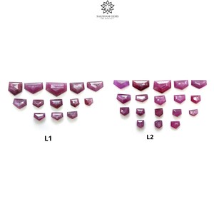 Puede incluir: Una variedad de gemas facetadas en forma de escudo, en varios tamaños y tonos de rojo y rosa. Las gemas están dispuestas en dos grupos, etiquetados L1 y L2, sobre un fondo blanco. En la parte superior, se lee el texto "SAKSHAM GEMS THE ETHICALITY".