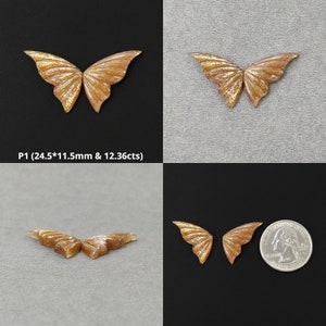May include: Four butterfly-shaped sunstone cabochons in various sizes. The stones are a warm, golden brown color with a shimmery, iridescent finish. The largest stone measures 24.5 mm by 11.5 mm and weighs 12.36 carats. P1 (24.5*11.5mm & 12.36cts)
